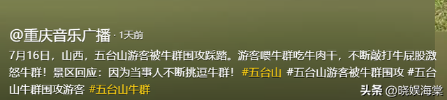 五台山游客被牛顶后：队友爆料，故意让狗挑逗小牛，当事人发声