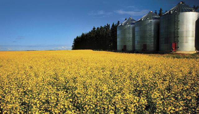 与中方谈完后，不到24小时	，加总理对华交底，要和美国保持距离