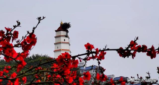 渝来蜀往，大美竹乡