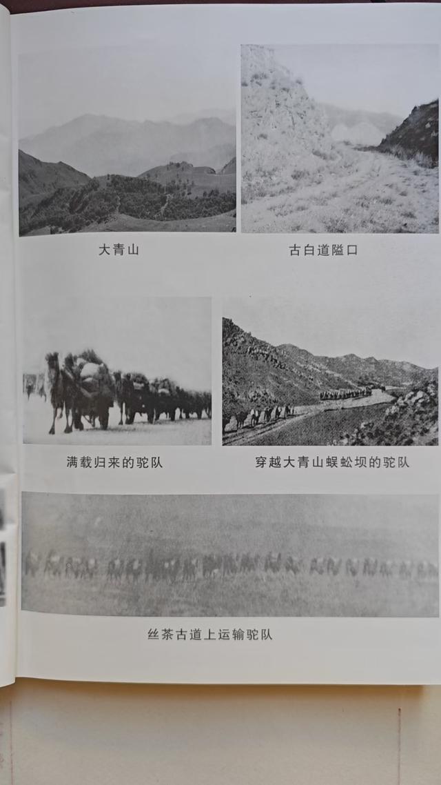 大营路繁华了可可以力更—大青山北麓商业古镇可可以力更镇（下）