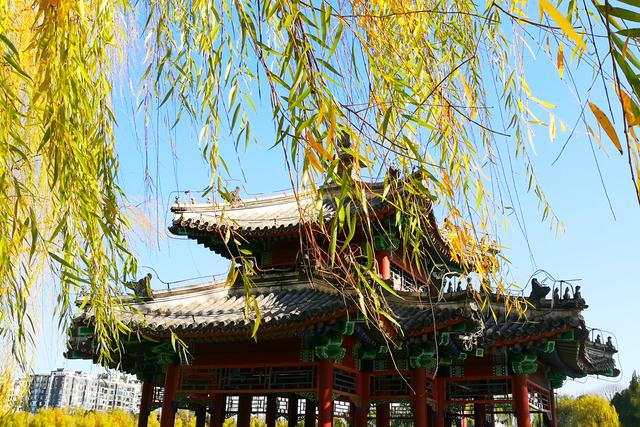 狂风散尽现碧空 北京市民陶然亭公园共赴“大风蓝”之约