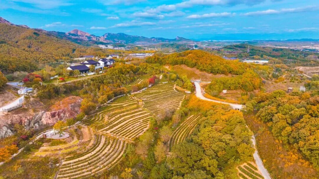 山景正宜人！青岛这里的山，已美到Next level