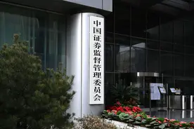严把准入关口 发行上市审核平稳推进图片
