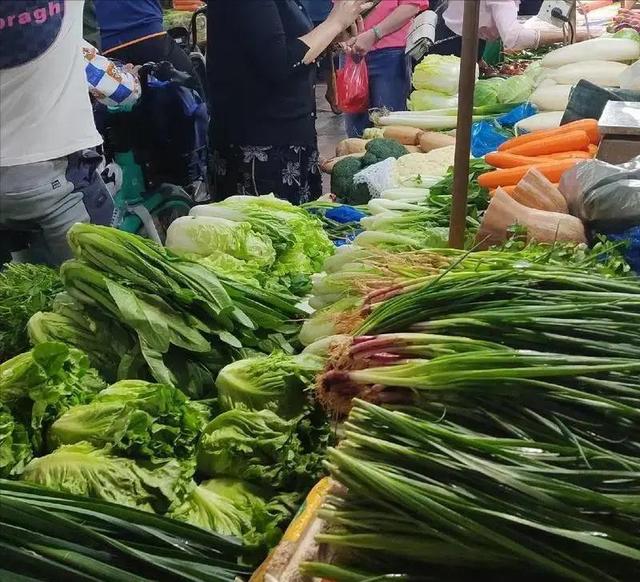 央视紧急曝光！这三类毒蔬菜全国流通，买菜切记避开三样！