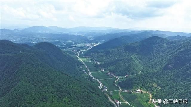 湖北宜昌：“候鸟族”点亮绿水青山