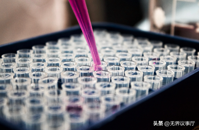 看完诺奖突然懂了:好科学从来不怕等，慢科学藏有文明底气
