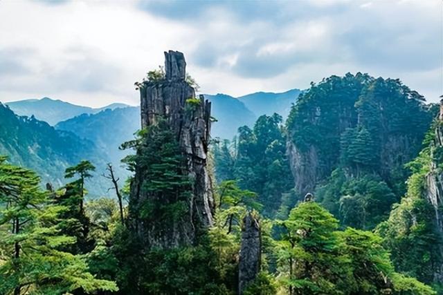 湘南荒山野岭火到韩国！本地人都少去，韩媒却眼红