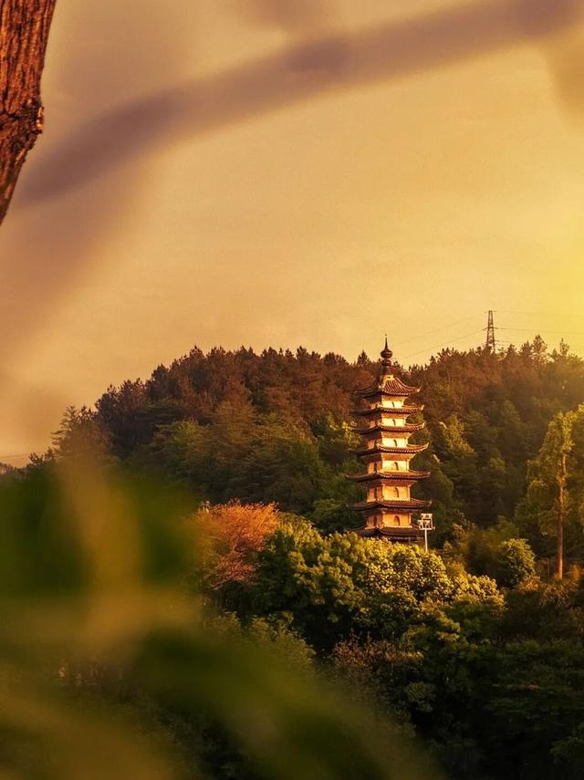 别等了！黄山的秋已铺满诗意，就差你的一句告白 | 皖美秋日