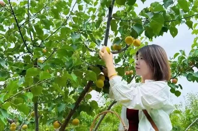 暑假过半还没玩？济南这个神仙地儿现在去刚刚好！