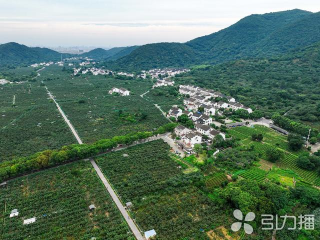 开启“户外模式”！在苏州尽情“森呼吸”