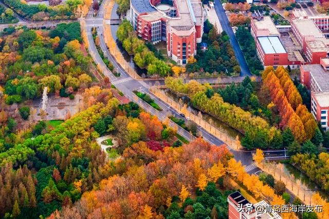 走不出这画了,我已被西海岸的秋景迷倒 🥹