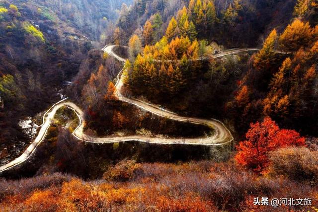 秋日必冲的保定“天然氧吧”出炉，每个都是国家级秘境