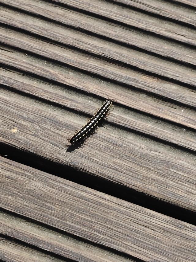 徒步穿越西流湖，赏秋正当时