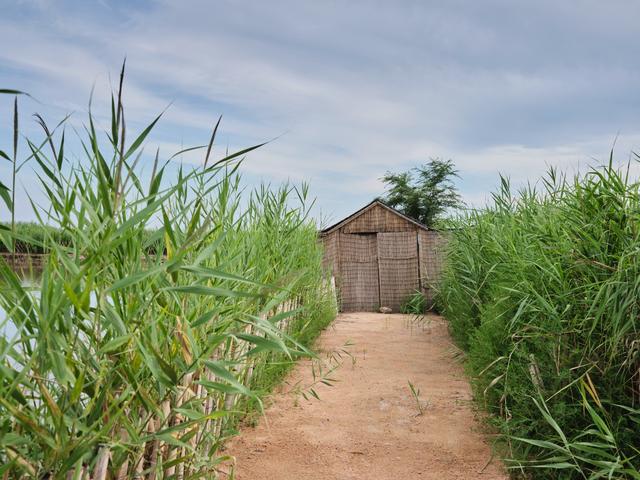 锦州东方华城湿地公园，环境优美，水鸟争鸣，是休闲散心的好去处
