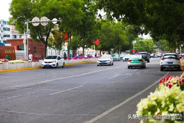 临夏市：一座把“浪漫”写进马路牙子的城市