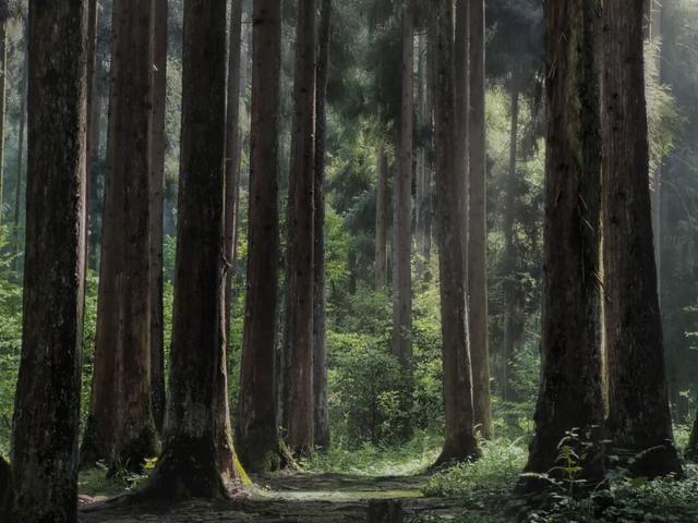 来一场向山而行的徒步，把自己还给自然