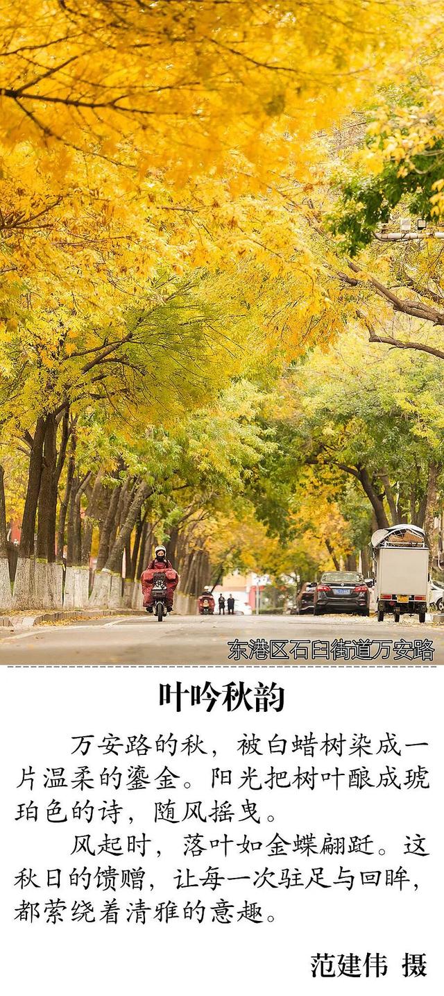 错过再等一年！日照这些地方超好看！随手一拍都是大片！