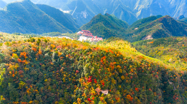 错过等一年！巴山大峡谷秋色刚开场，彩林已美成仙境！