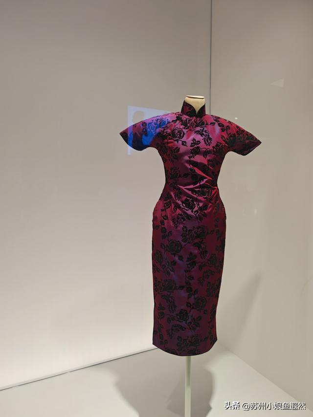 冬日限定浪漫！上博打卡百年旗袍，邂逅张信哲私藏的东方摩登