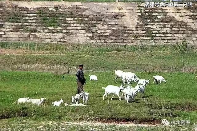 鸭绿江呀鸭绿江！