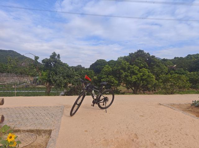 环西丽湖绿道骑行慢行随拍-动个好奇心