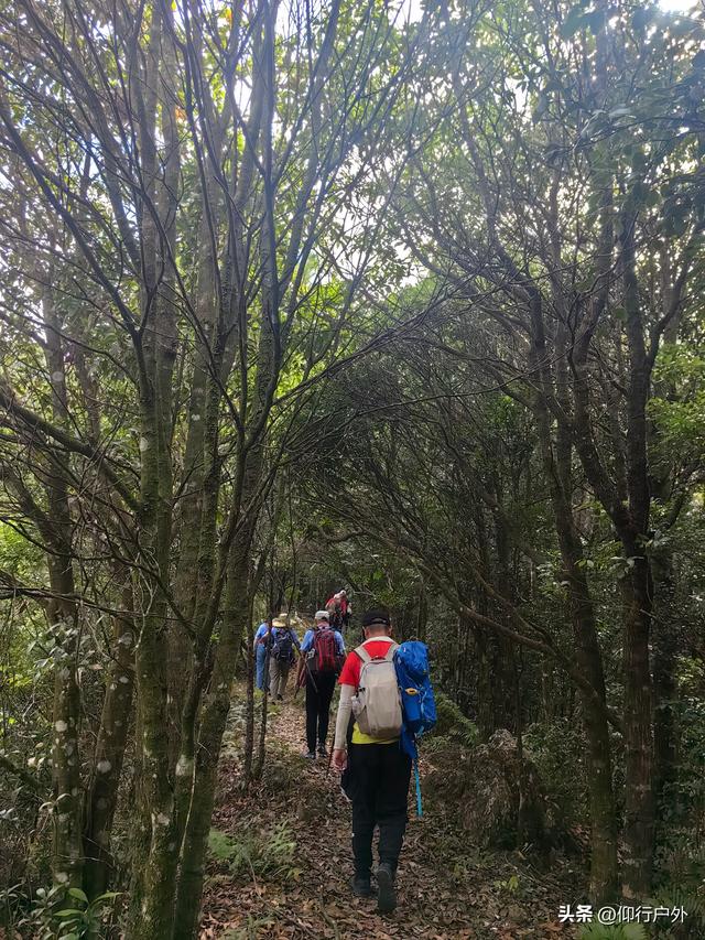 永定奥杳梯田穿越九十九岽徒步