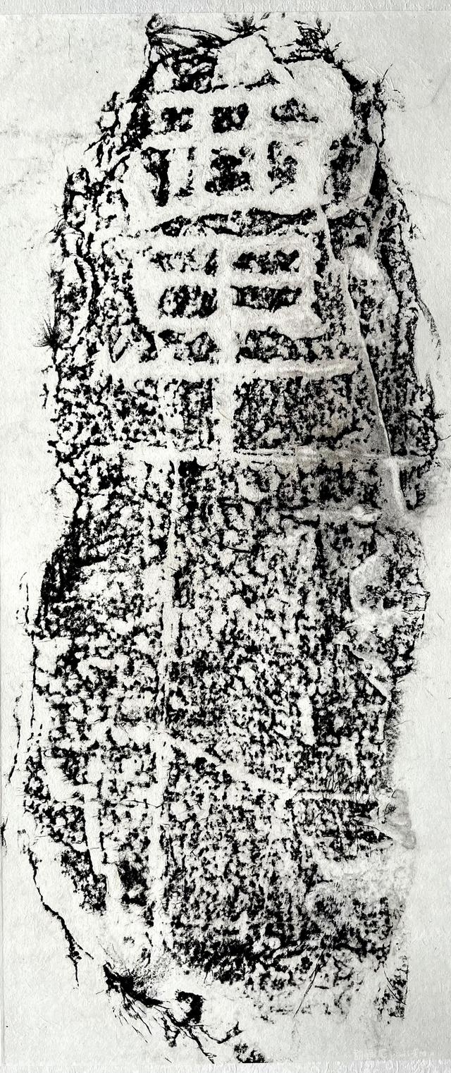 龙说夜郎丨游记、插画、石刻、志书，多重印证下的盘江铁索桥