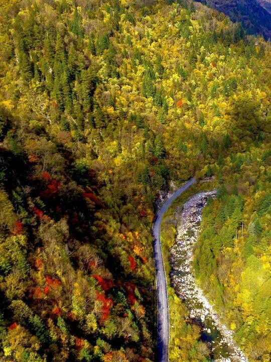 达古秋韵｜当第一缕晨光吻过云海，这里正上演秋日的浪漫相遇