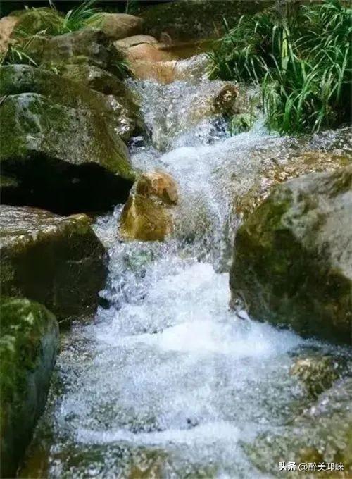 徒步山野，感受绿野仙踪的生命力！