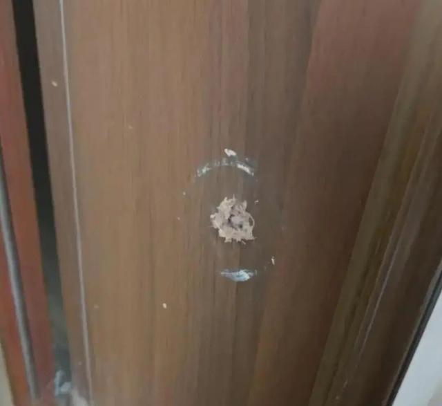 刚刚宣判：何某乖（1997年生），改判死刑！