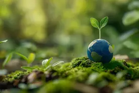 非常重要！成都小升初信息核对今日开始，这些事项要看清楚图片