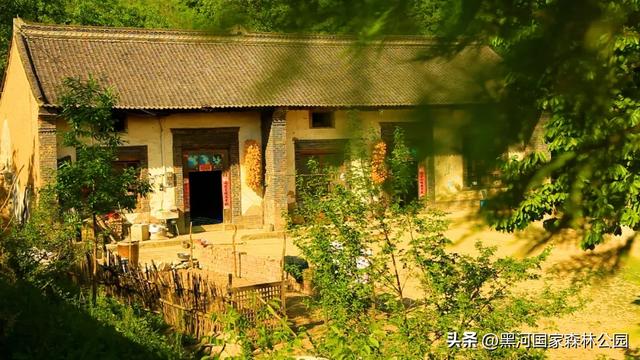 热浪再度来袭？不如进山去！享受20℃+的清凉舒爽