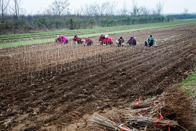 99年的网吧包厢，女同学突然凑过来，说：教我玩个刺激的游戏