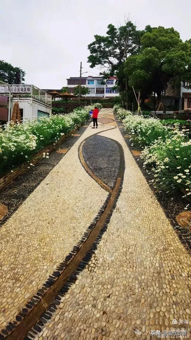 浙江这个山海古村,处在网红风景线上,丛林秘境中藏着一片花海