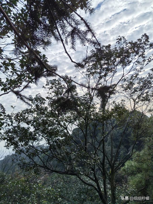 户外徒步之挑战缙云九峰，从健身梯道到狮子峰，走了四小时