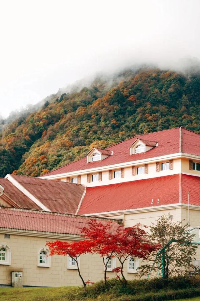 划得来！秋天来西岭雪山看彩林，门票直接免了！