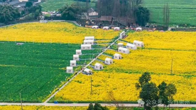 王婆说媒空降崇州！ 快来街子，“马”上说媒，邂逅新年良缘！