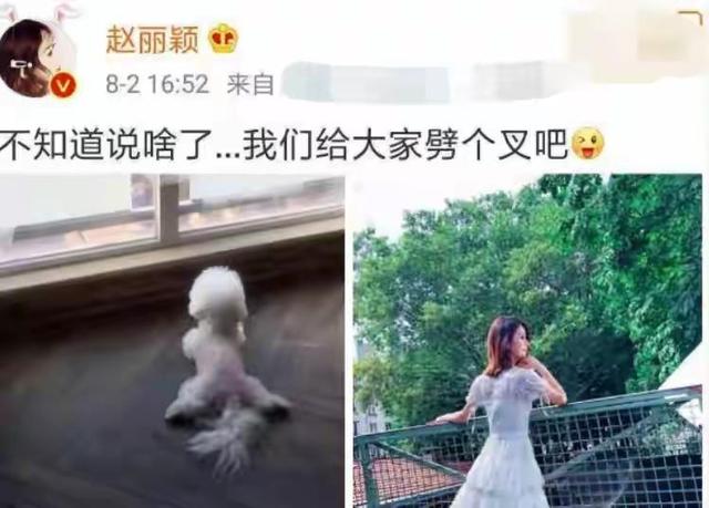 和景甜闪婚传闻仅2个月，冯绍峰再次官宣喜讯，赵丽颖也高攀不起