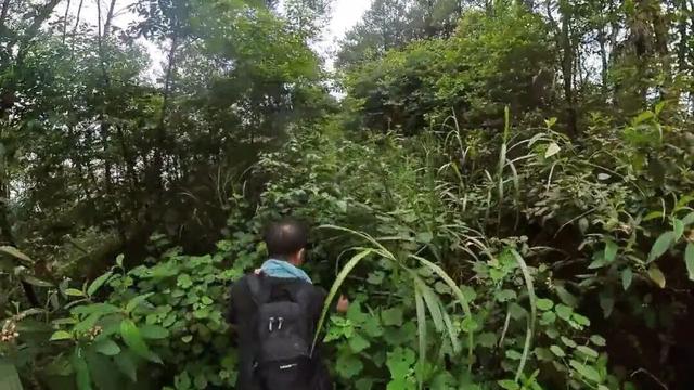 重庆沙坪坝发现神秘洞府，满壁文字暗藏玄机，主人疑是避世高人