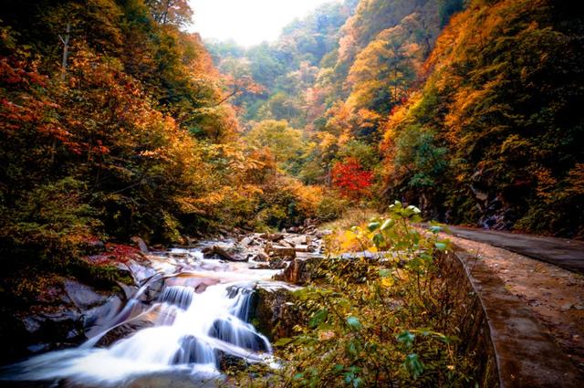 赏秋正当时！自驾来汉中，赴一场秋日视觉盛宴~