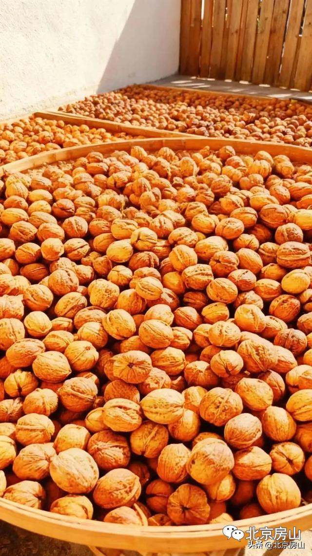 赤染宝水·把秋天绘成一幅画!