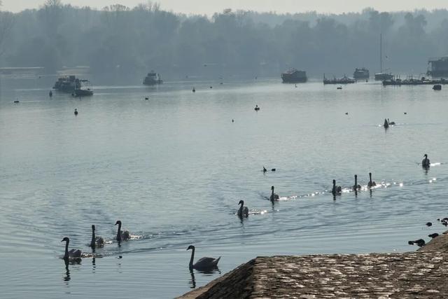 塞尔维亚，一座被轰炸过78天的城市的新生，贝尔格莱德一日游记