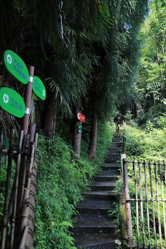 热得遭不住！快来绵竹这里享受26℃的清凉……