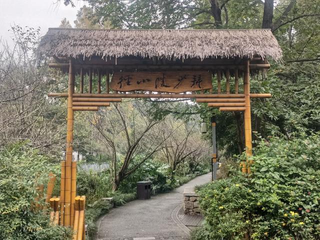 蓉城漫记：在诗与烟火里邂逅成都