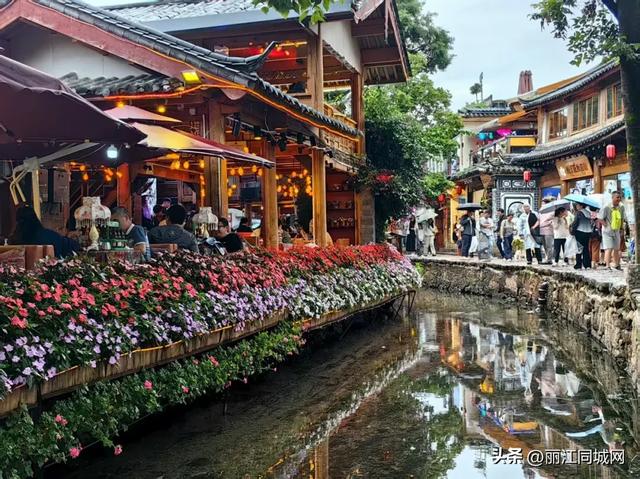 谁说雨天不适合旅行?丽江古城的雨季,才是打开浪漫的正确方式
