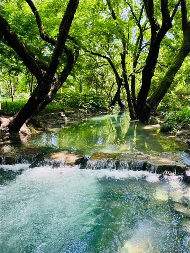 世界上只有中国浙江省杭州市才有的全球 “独一无二的10大奇景”