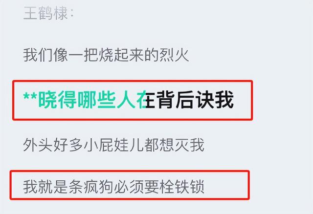 王鹤棣为啥走上下坡路？新歌diss内娱成关键，连虞书欣都救不了他