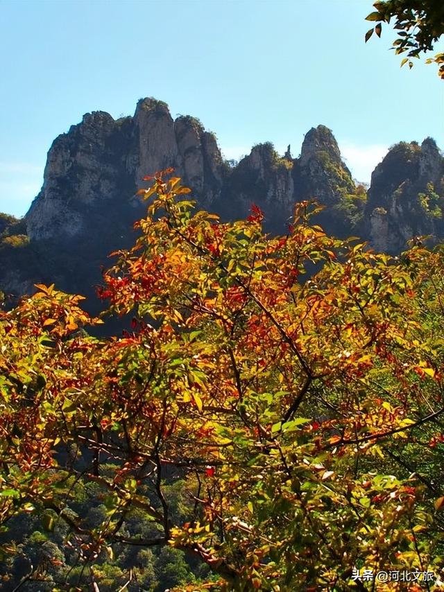 秋日必冲的保定“天然氧吧”出炉，每个都是国家级秘境