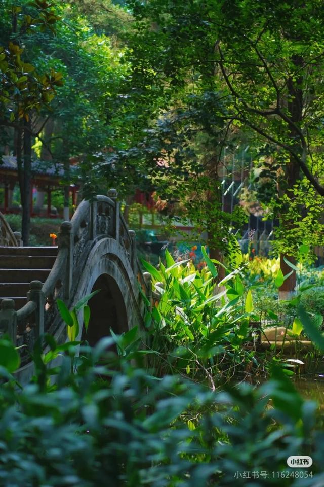 周末就冲！成都出发40min直达浪漫小城，喂海鸥逛古寺！