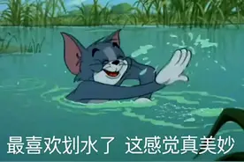 分享｜猫和老鼠图片